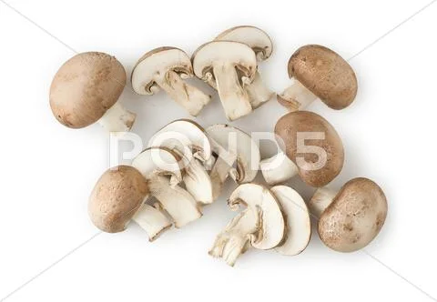 Mushrooms Stock Photos
