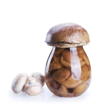 Mushrooms Stock Photos