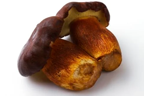 Mushrooms Stock Photos