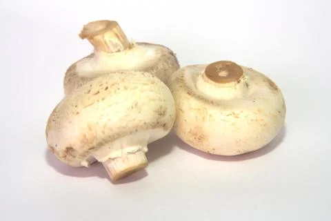 Mushrooms Stock Photos