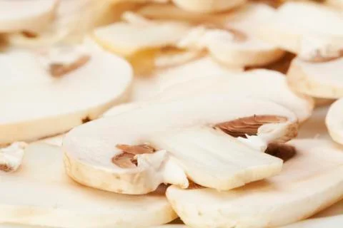 Mushrooms Stock Photos