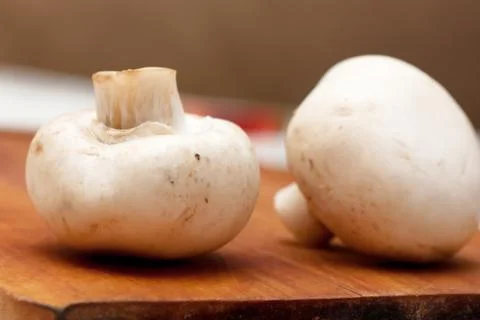 Mushrooms Stock Photos