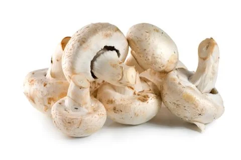Mushrooms Stock Photos