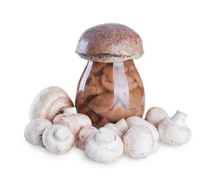 Mushrooms Fotos Stock