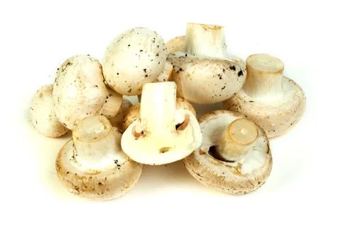 Mushrooms Stock Photos