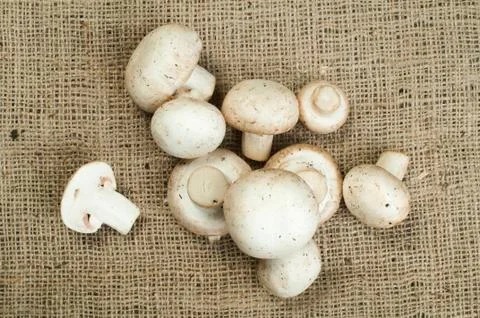 Mushrooms Stock Photos