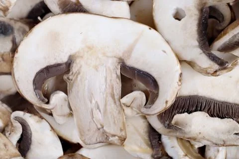 Mushrooms Stock Photos