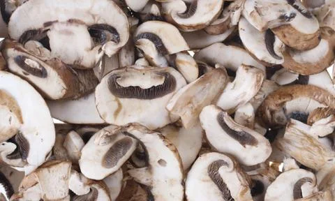 Mushrooms Stock Photos