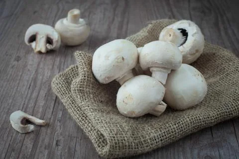 Mushrooms Stock Photos