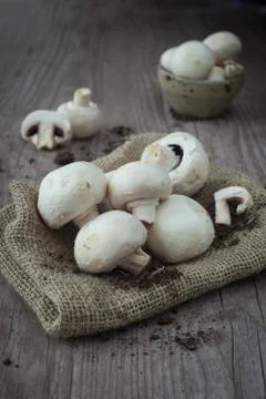 Mushrooms Stock Photos