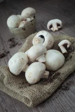 Mushrooms Stock Photos
