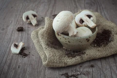 Mushrooms Stock Photos