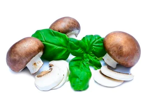 Mushrooms Stock Photos