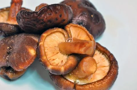 Mushrooms Stock Photos