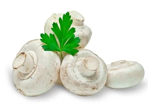 Mushrooms Stock Photos