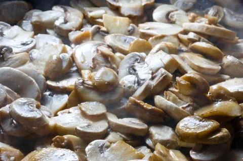 Mushrooms Stock Photos