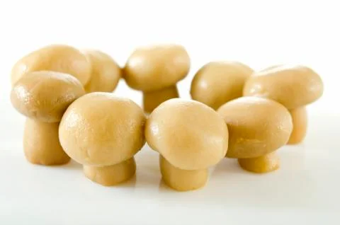 Mushrooms Stock Photos