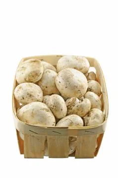 Mushrooms Stock-Fotos