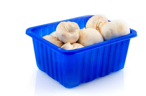 Mushrooms Stock Photos