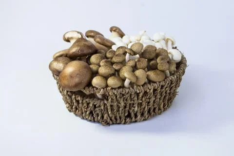 Mushrooms Stock Photos