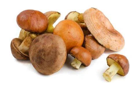 Mushrooms Stock Photos