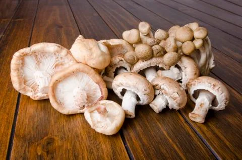 Mushrooms Stock Photos