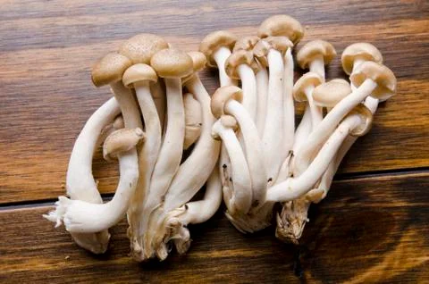 Mushrooms Foto stock