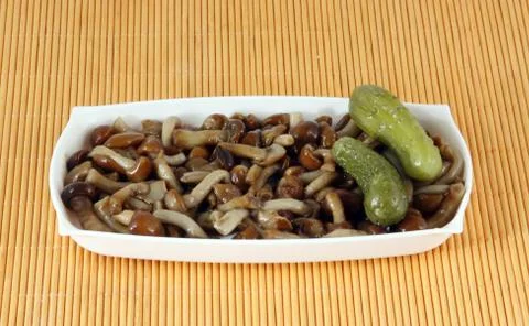 Mushrooms Stock Photos