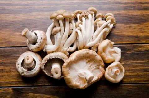 Mushrooms Stock Photos