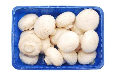 Mushrooms Stock Photos