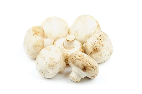 Mushrooms Stock Photos