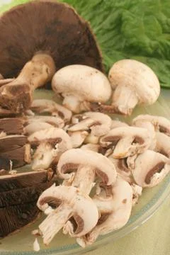 Mushrooms Stock Photos