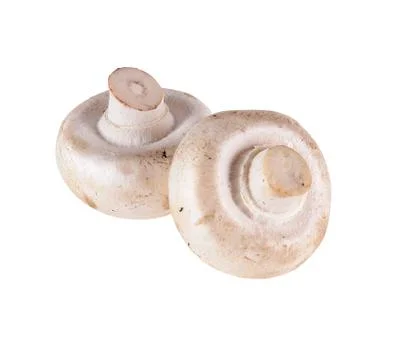 Mushrooms Stock Photos