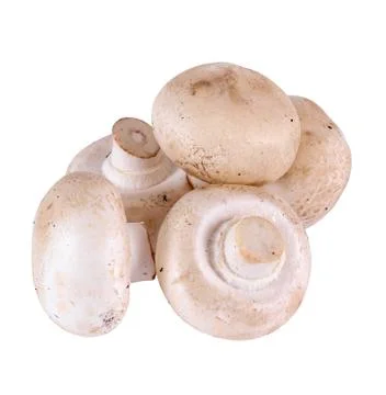 Mushrooms Stock Photos