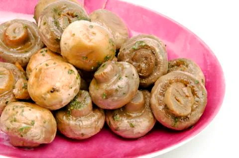 Mushrooms Stock Photos