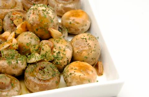 Mushrooms Stock Photos