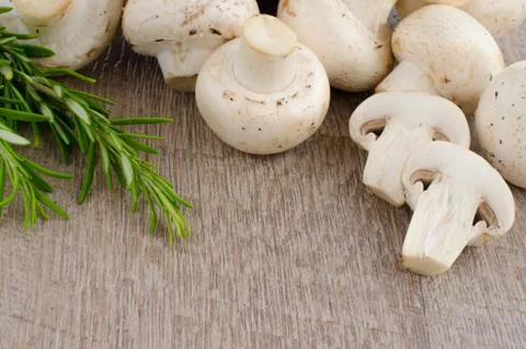 Mushrooms Stock Photos
