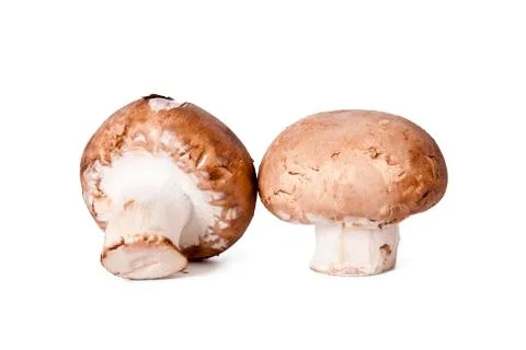 Mushrooms Foto stock