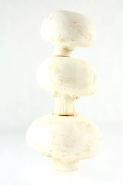 Mushrooms Stock Photos