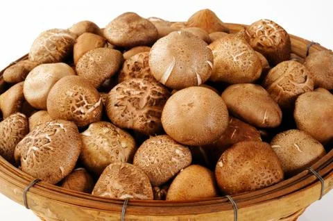 Mushrooms Stock Photos