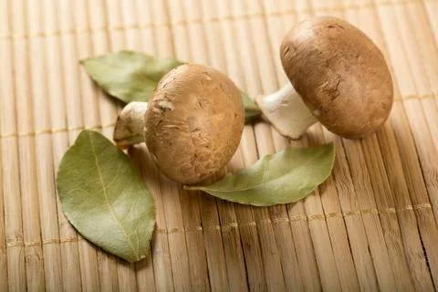 Mushrooms Stock Photos