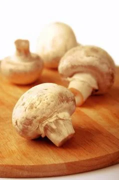 Mushrooms Stock Photos