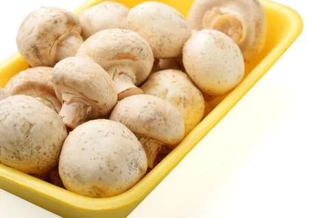 Mushrooms Stock Photos