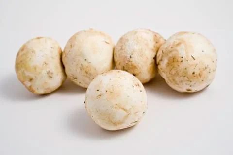 Mushrooms Stock Photos