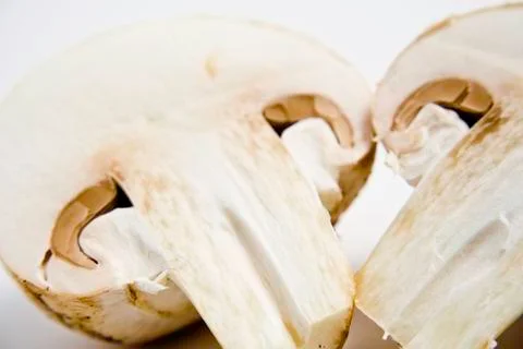 Mushrooms Stock Photos