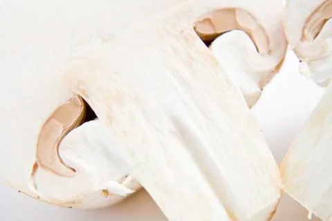 Mushrooms Stock Photos