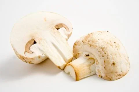 Mushrooms Stock Photos