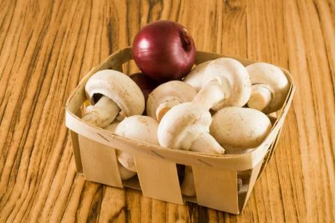 Mushrooms Stock Photos