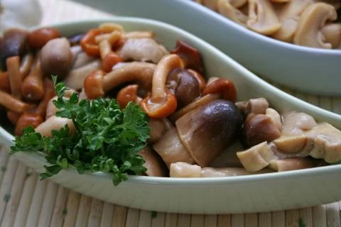 Mushrooms Stock Photos