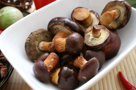 Mushrooms Stock Photos